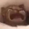 wah