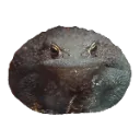 DiscordProfilePhotoSizesafeimage