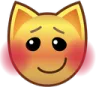 catblush Discord Emoji
