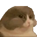 nommer