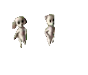dancing_dogs dancing_dogs