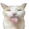 Bleh