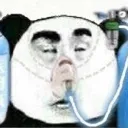 baizuo