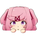 nat_lookie