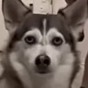 bruh3