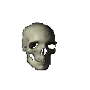 y_skull