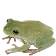 Wonder_GayFrog Discord Emoji