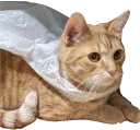 superpotat