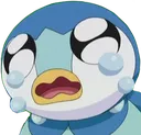 PipCry