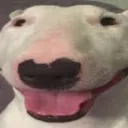 walter3