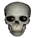 Cursedskull