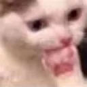 emoji_48