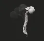 SkeleDance SkeleDance