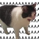 emoji_51