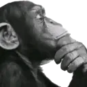 thinkingmonk