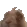 vibebunny vibebunny