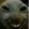 xdd