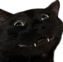 blackcatsmile