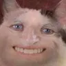 paincat