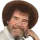 coolstorybob
