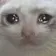 4838_despair