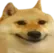 dogSmile