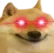 hyperDogSmile hyperDogSmile