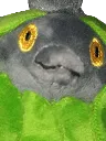 burmystare