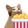 popcatpopcorn