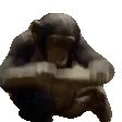 monke2