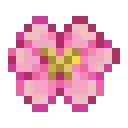 PinkBlossom PinkBlossom