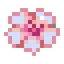 WhiteBlossom
