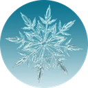 :Snowflake_Snowflake: