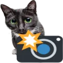 caught_in_4k_cat
