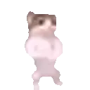catPls