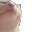 catJAM