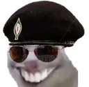 speb2_IRAgrin