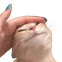 pat