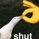 776914644774158398