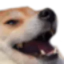 emoji_63