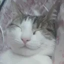 uwuface Discord Emoji