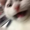 AAAAAA AAAAAA