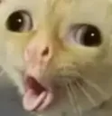 ew