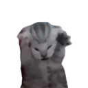 meouch