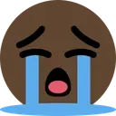 brown_cry Discord Emoji