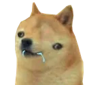 fatfuckingretard