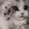 catNotLikeThis