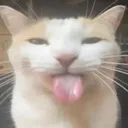 bleh