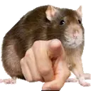 ratpoint