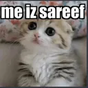 shareef_innocent